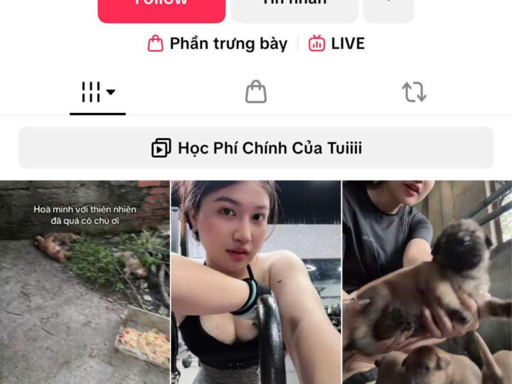 Ảnh 1 của Lộ clip sex Idol Tiktoker Quỳnh Mai đang nuôi học phí